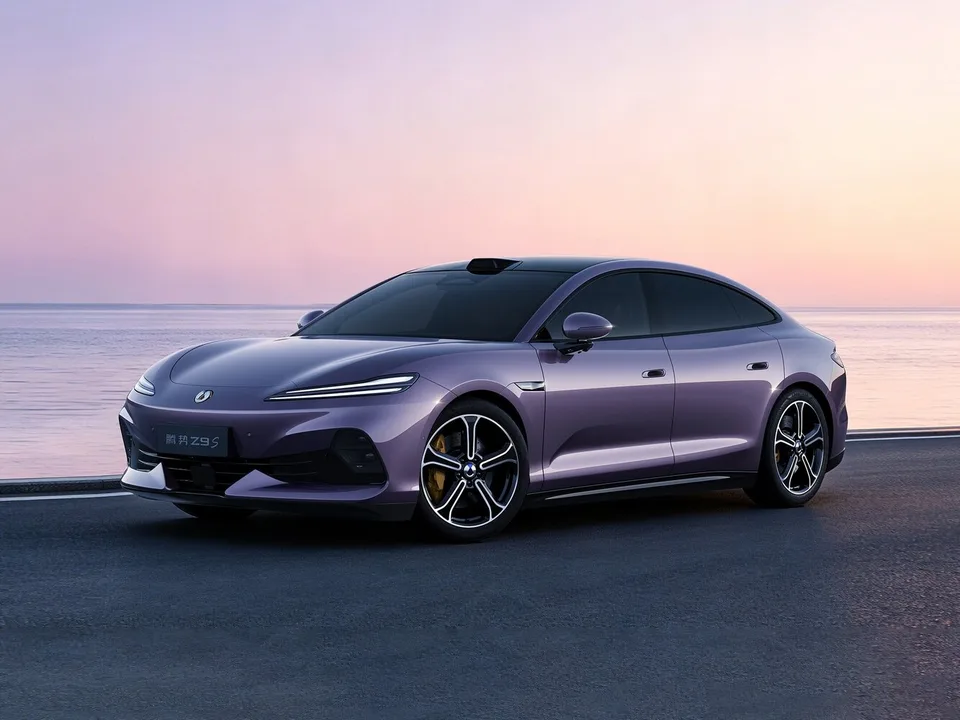 Denza Z9S