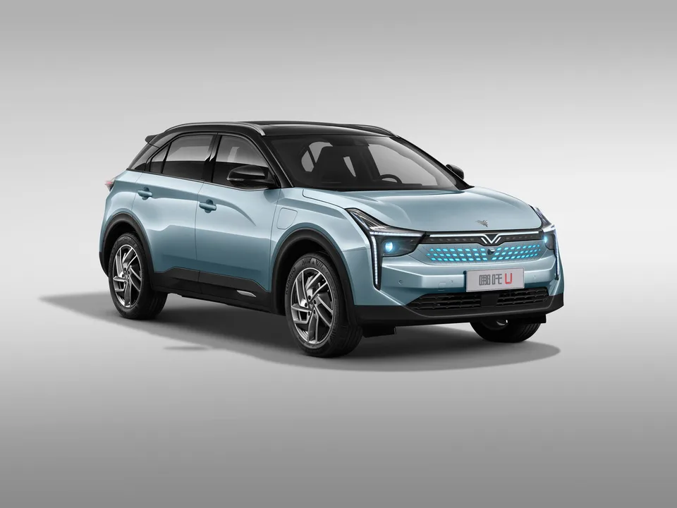 Hozon Neta U, , Crossover / SUV
