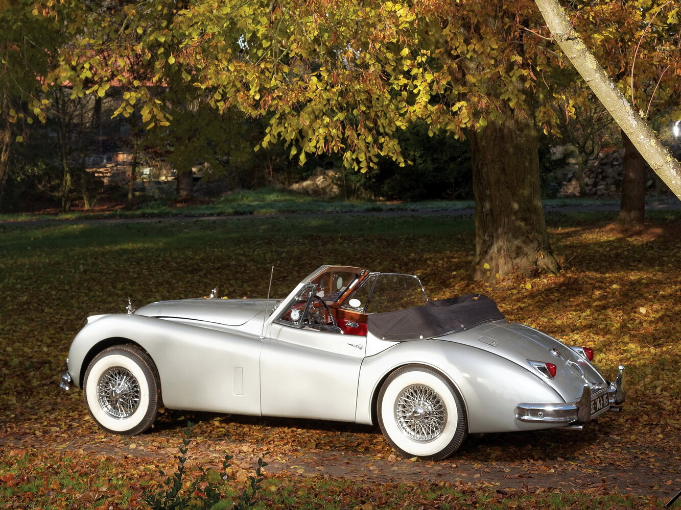 Jaguar XK, XK140, 1954–1957, Кабриолет: Вид сзади в три четверти