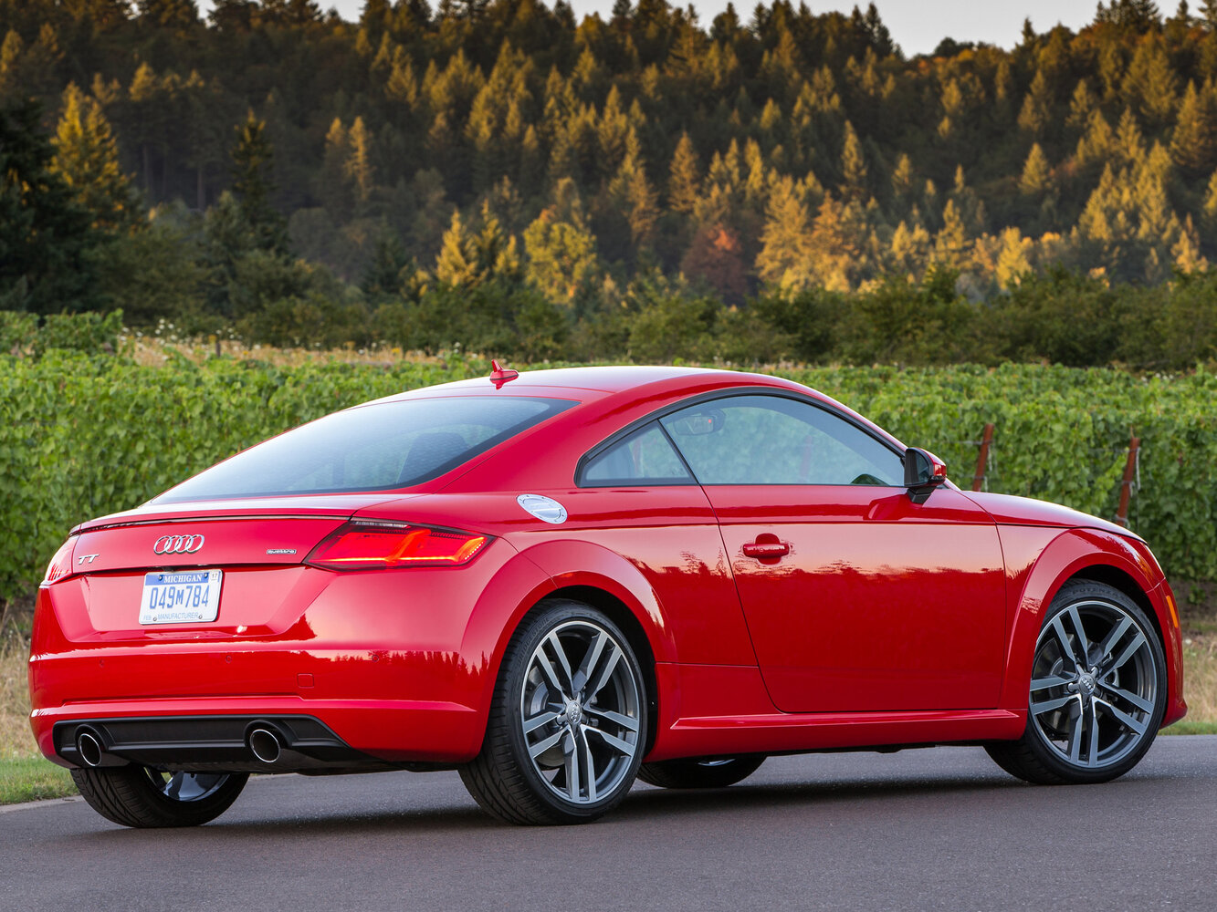 Audi TT, III (8S), 2014–2019, Купе: Вид сзади в три четверти