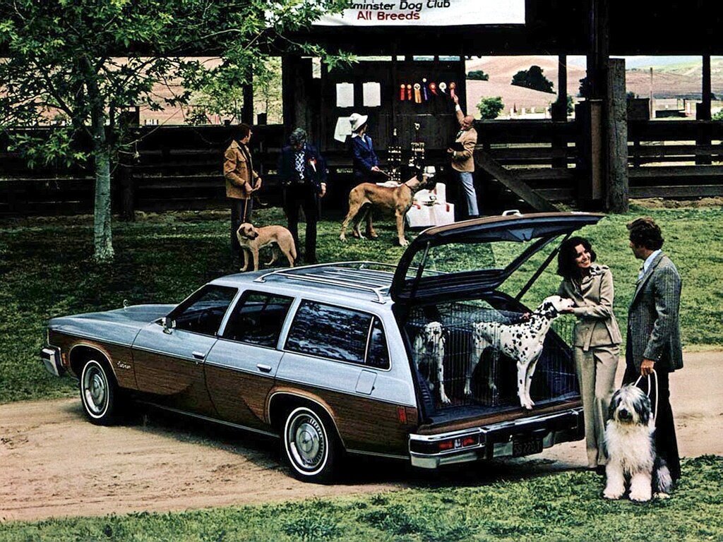 Oldsmobile Vista Cruiser, III, 1973–1977, Estate 5 door: Rear three-quarter view