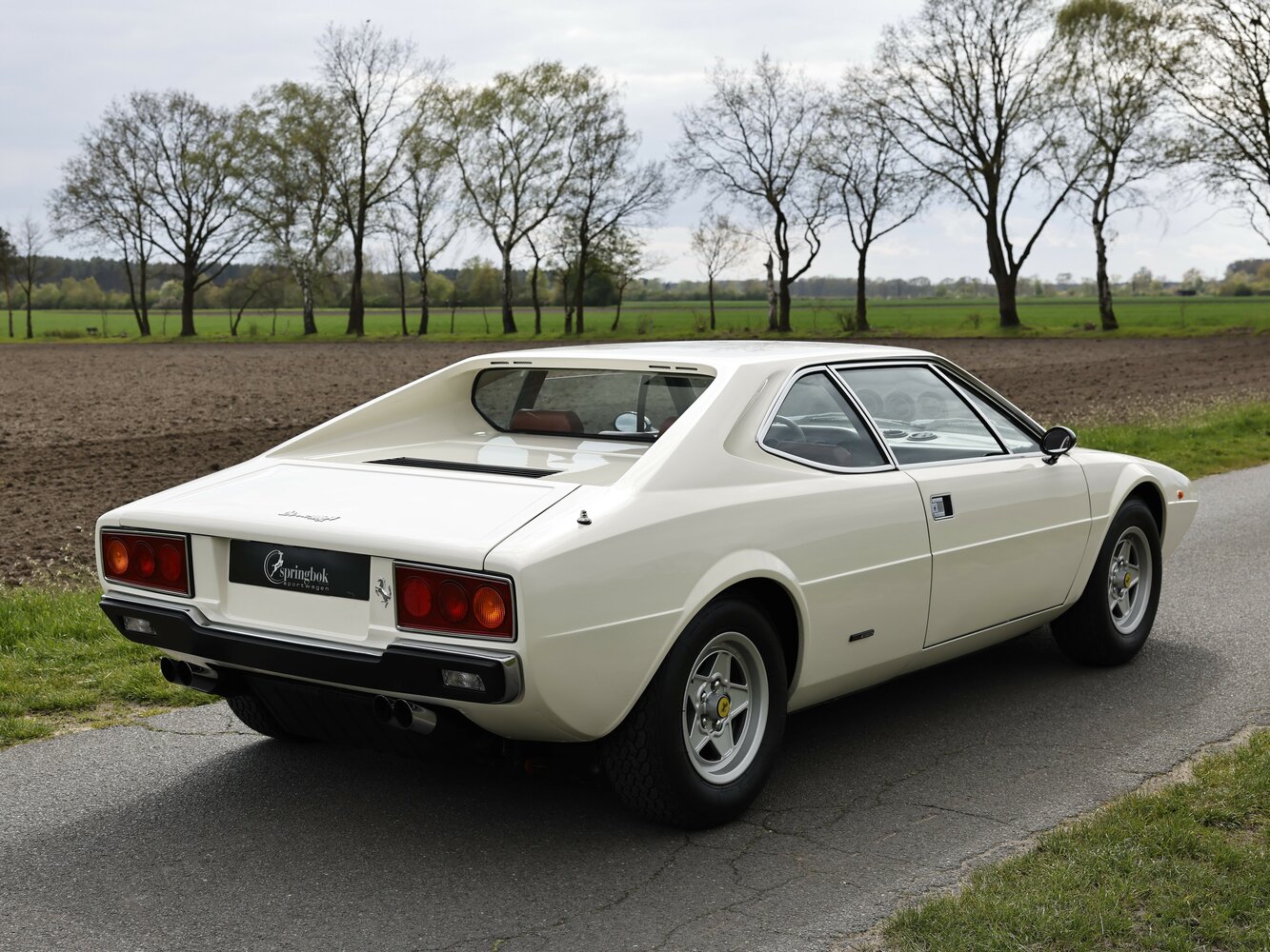 Ferrari Dino 208/308 GT4, , 1973–1978, Купе: Вид сзади в три четверти