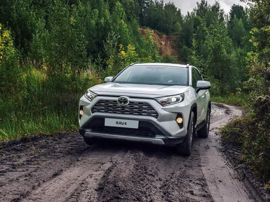 Toyota Rav4, 5 поколение, XA50, Джип/suv 5 дв., Россия, 03.2018 - 12.2022: фото поколения 5