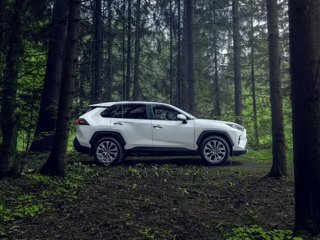 Toyota Rav4, 5 поколение, XA50, Джип/suv 5 дв., Россия, 03.2018 - 12.2022: фото поколения 4