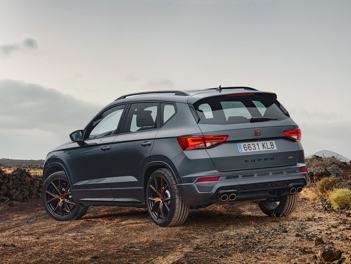 Cupra Ateca, I, 2018–2020, Внедорожник 5 дв.: Вид сзади в три четверти