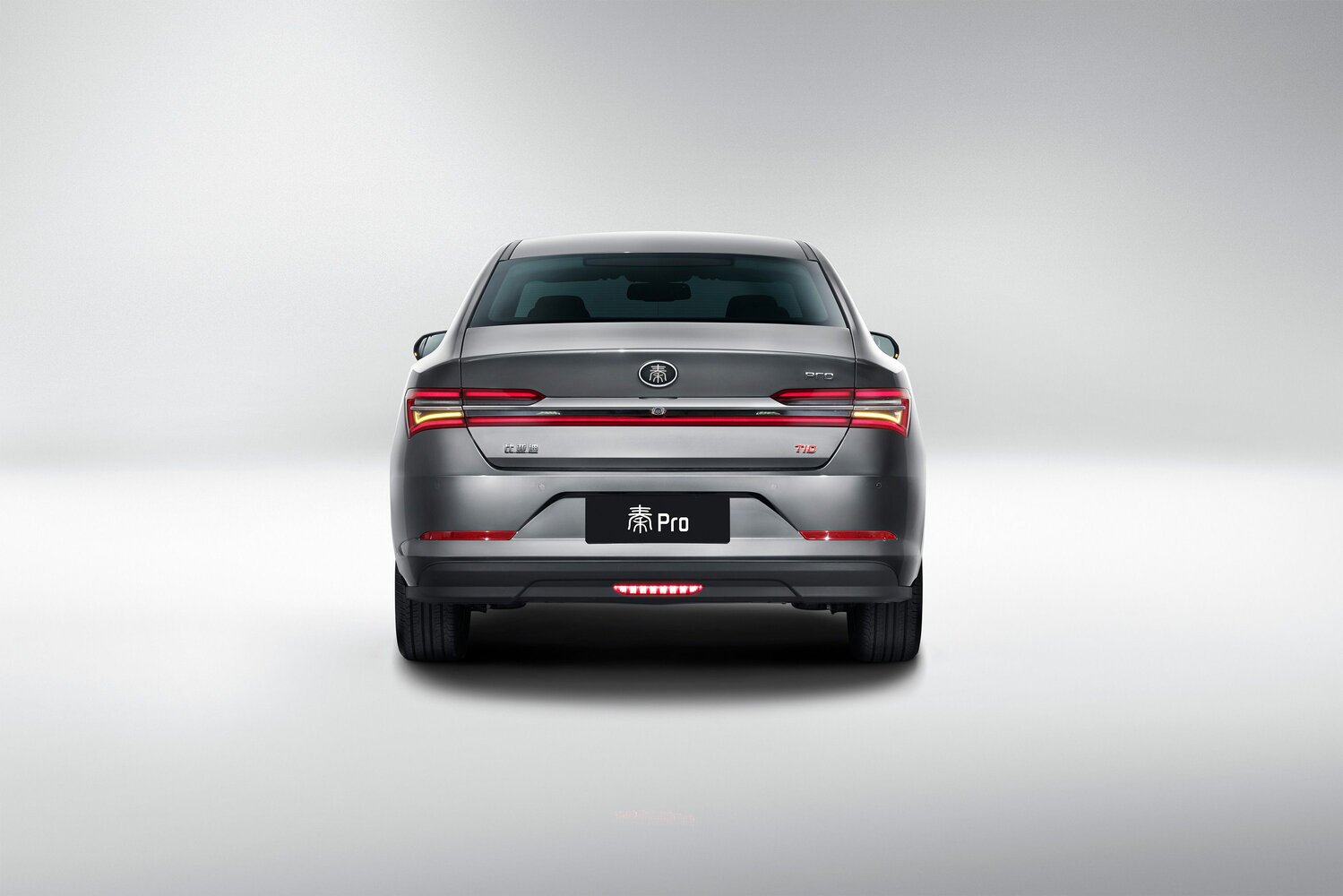 BYD Qin Pro, , 2018–2025, Седан: Вид сзади