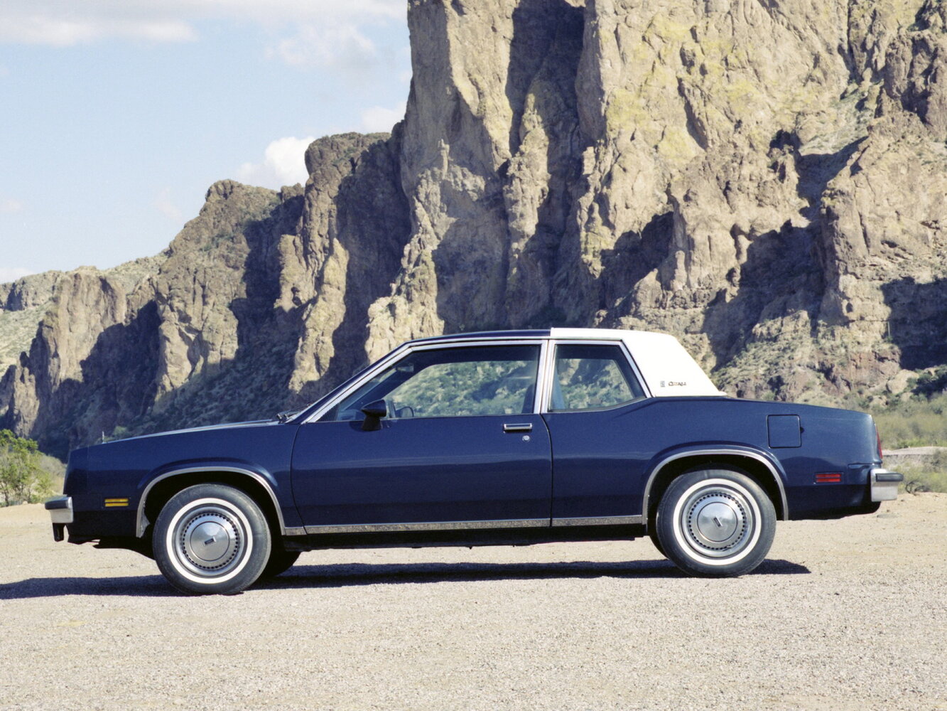 Oldsmobile Omega, , 1979–1984, Coupe: Side view