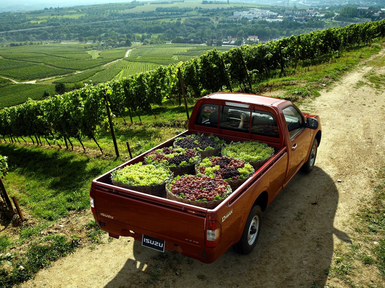 Isuzu D-Max, I facelift, 2008–2012, Pickup Одинарная кабина: Rear three-quarter view